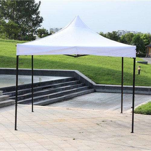 Hexagonal frame tent (14)