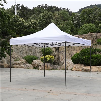 ক্যানোপি তাঁবু 10x10